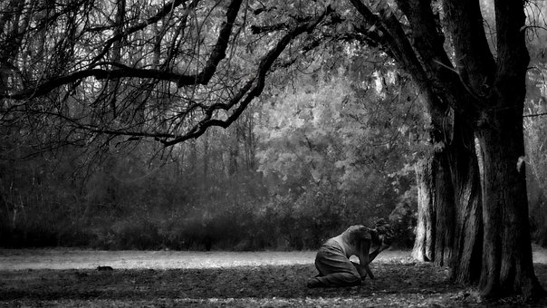 Free Forest Woman photo and picture