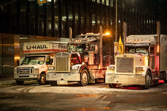 Free Trucks Convoy photo and picture