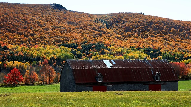 Barn jigsaw puzzle