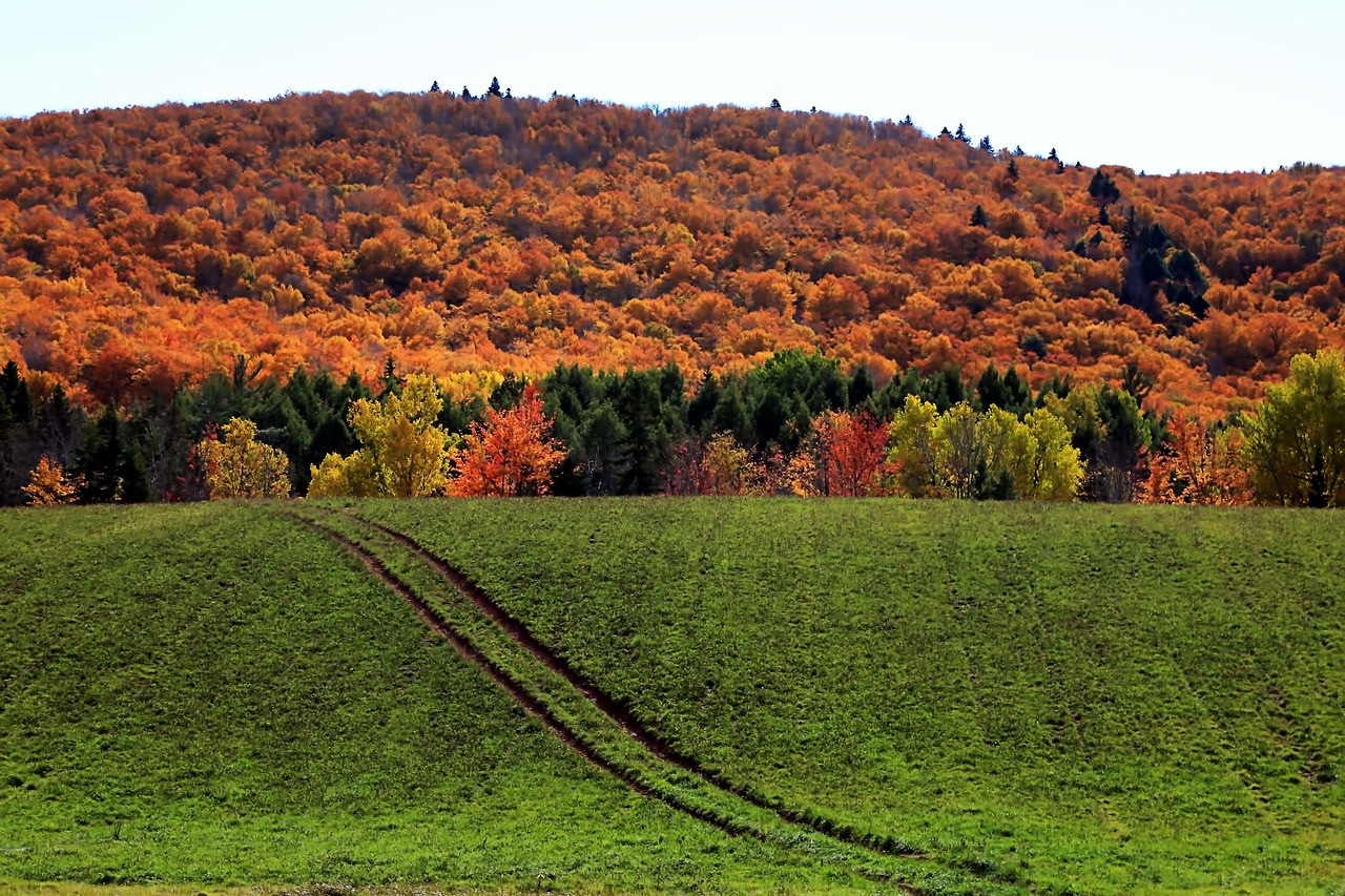 Mountain - free online jigsaw puzzle photo