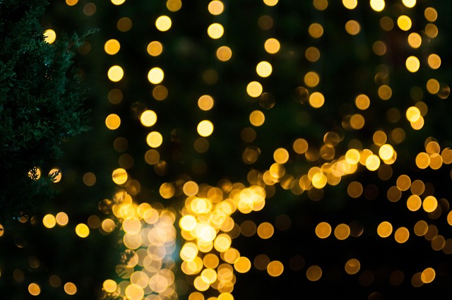 Free Bokeh Christmas photo and picture