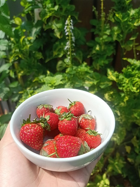 Fresas, Cuenco, Bayas, Frutas, Ácido