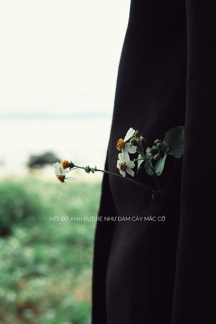 Quote, Vietnamees, Bloem, Gras, Canon