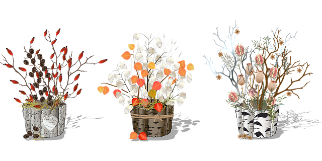 Free money plant plants flower pots vector