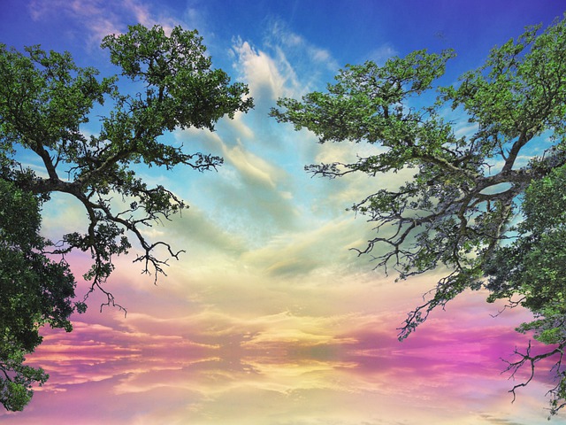 Cielo Nubes rboles Imagen Gratis En Pixabay Pixabay Cielo Nubes rboles Imagen Gratis En Pixabay Pixabay