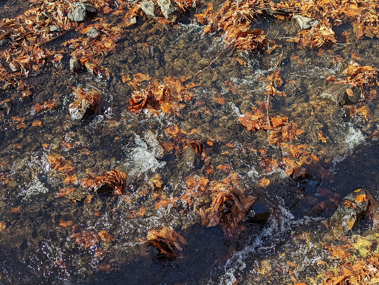 Image For Rocks Rock Nature Landscape - Free photo on Pixabay - Pixabay