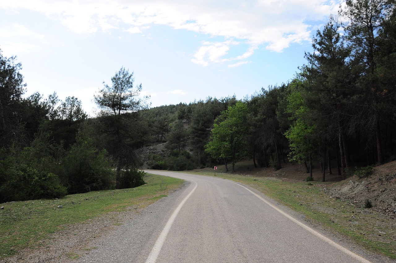 Path As A Roda Path Road Picture Photo - Free photo on Pixabay - Pixabay
