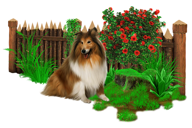Free Dog Pet illustration and picture