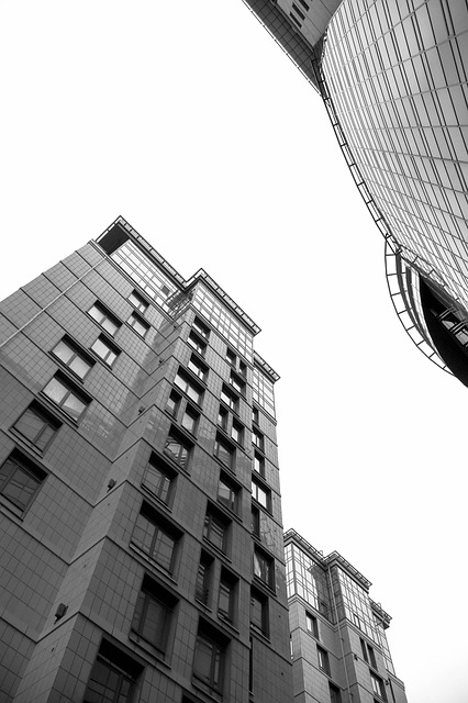 Free City Building photo and picture