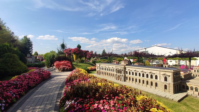Free Flowers Sky photo and picture