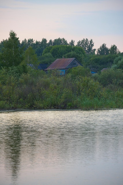 Casa, Copaci, Lac, Iaz, Pădure, Vară