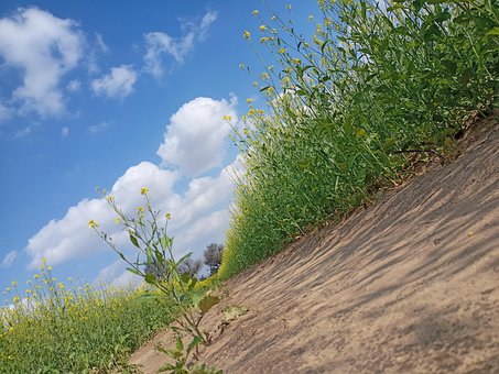 Agricultura, Fazenda, Céu, Nuvens