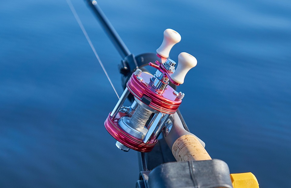 The Ultimate Guide to Catfish Fishing Seasons: When and Where to Cast Your Line
