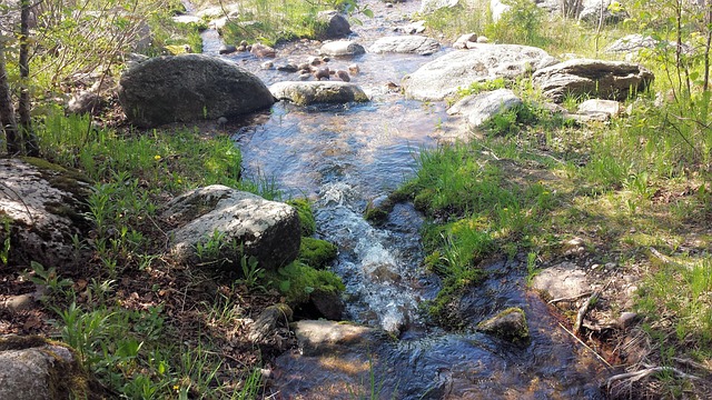 Free Background Water photo and picture