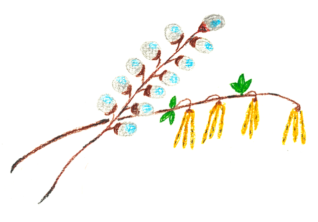 Free crocus eggs branch vector
