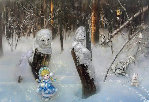 Invierno, Bosque, Reunión Agradable