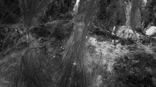 Free Drone Nature photo and picture