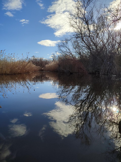 Spiegelung Im Wasser, Betrüger Teich