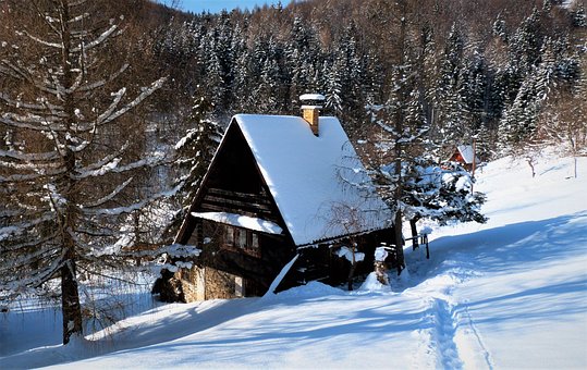 Free House Nature photo and picture