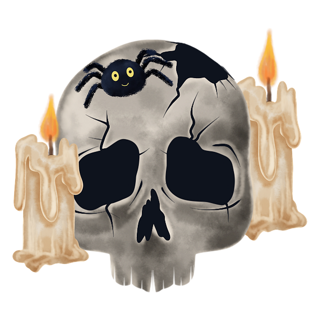 Schädel, Halloween, Kerzen, Spinne