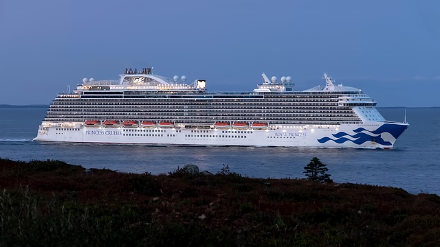 Royal Princess Cruise Ship Ocean - Free photo on Pixabay - Pixabay