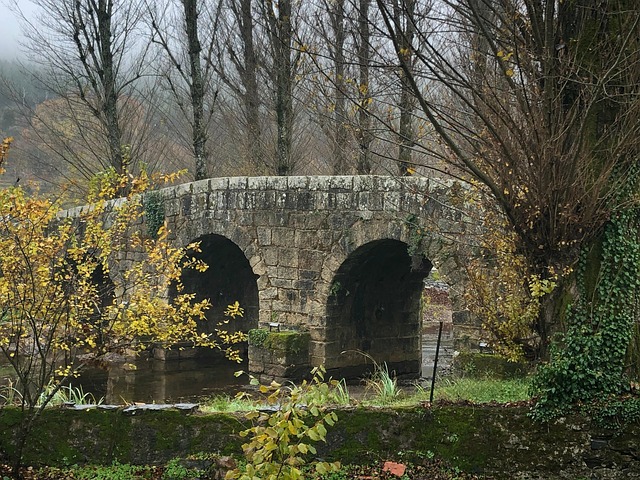 Free Bridge Portugal photo and picture