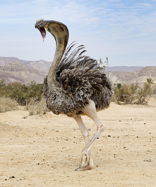 Free Photoshop Animals photo and picture