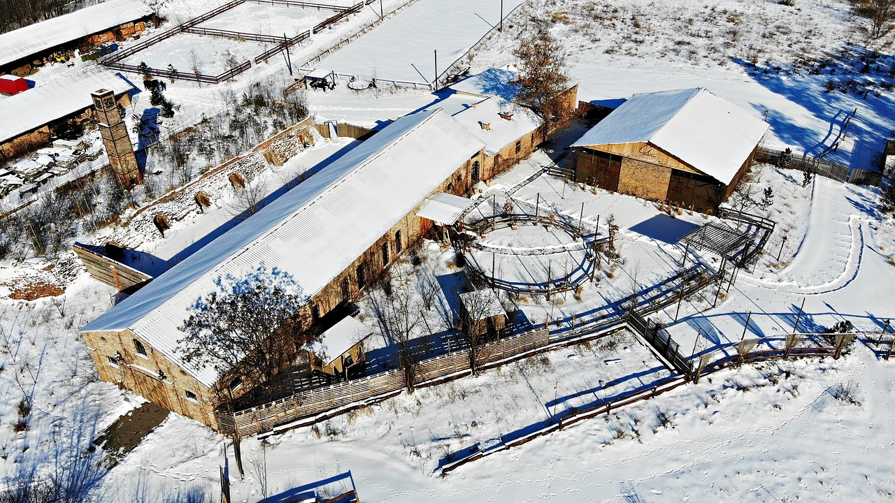 Winter - free online jigsaw puzzle photo