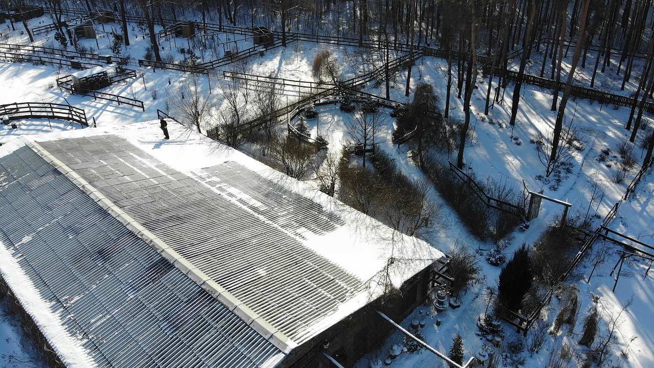 Winter - free online jigsaw puzzle photo