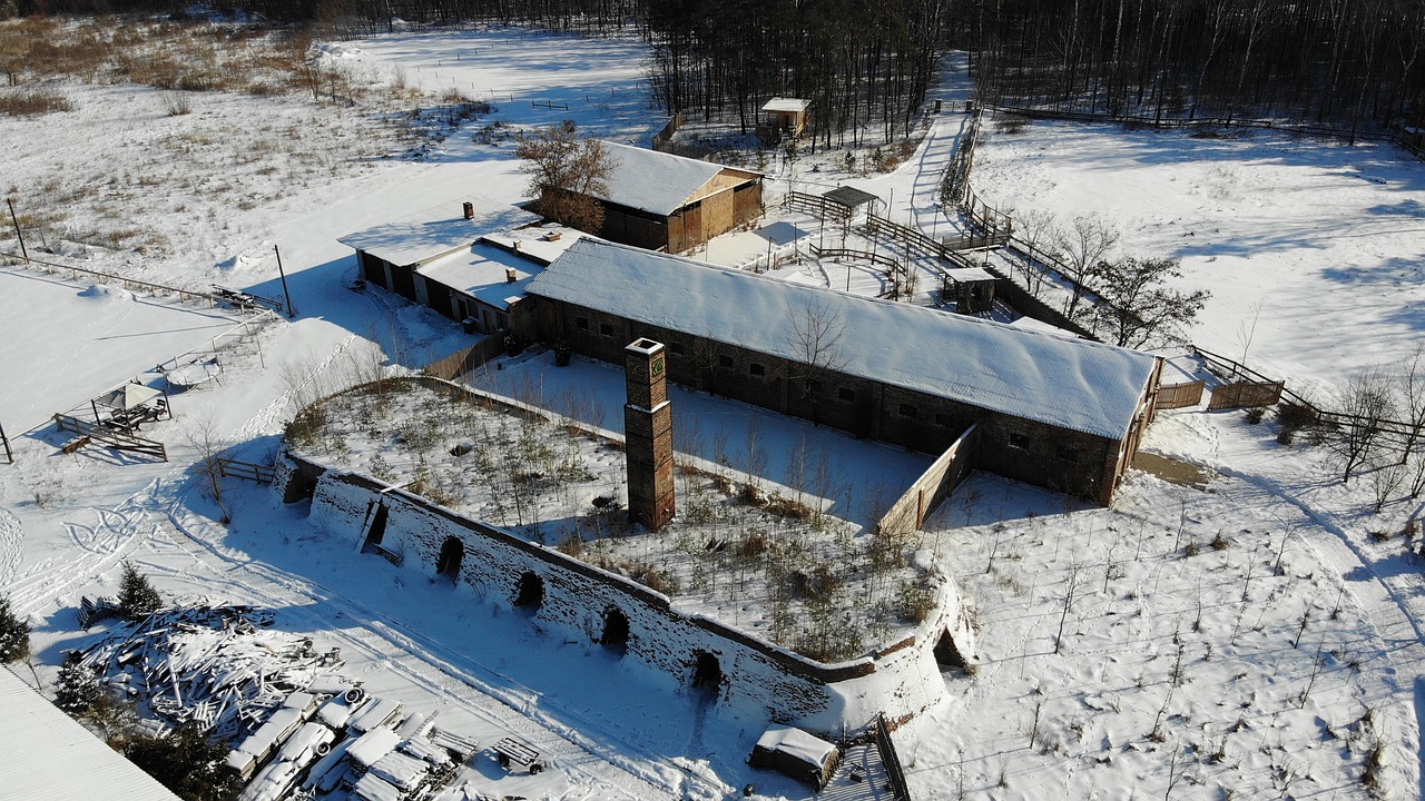 Winter - free online jigsaw puzzle photo