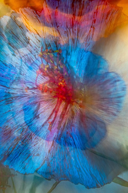 Free Paintingwithcamera Move photo and picture