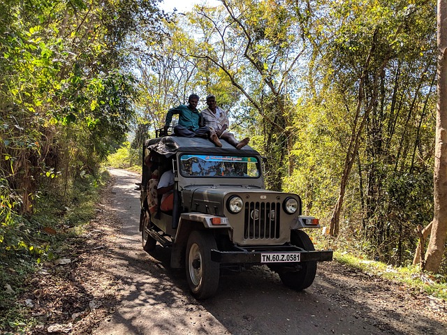 Indien, Tamilnadu, Landsby, Bakke