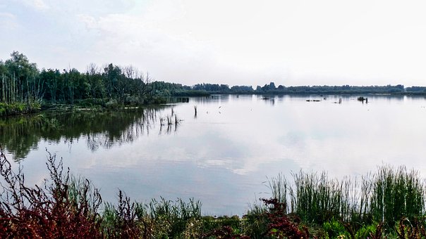 Free Water Nature photo and picture