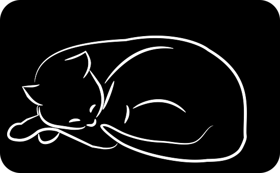 Kat, Feline, Maskot, I Søvn, Plakat