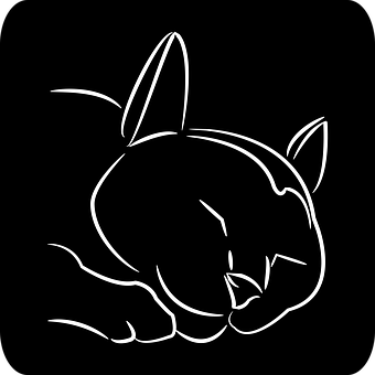 Kat, Feline, Dyr, Søvn, Pattedyr, Plakat