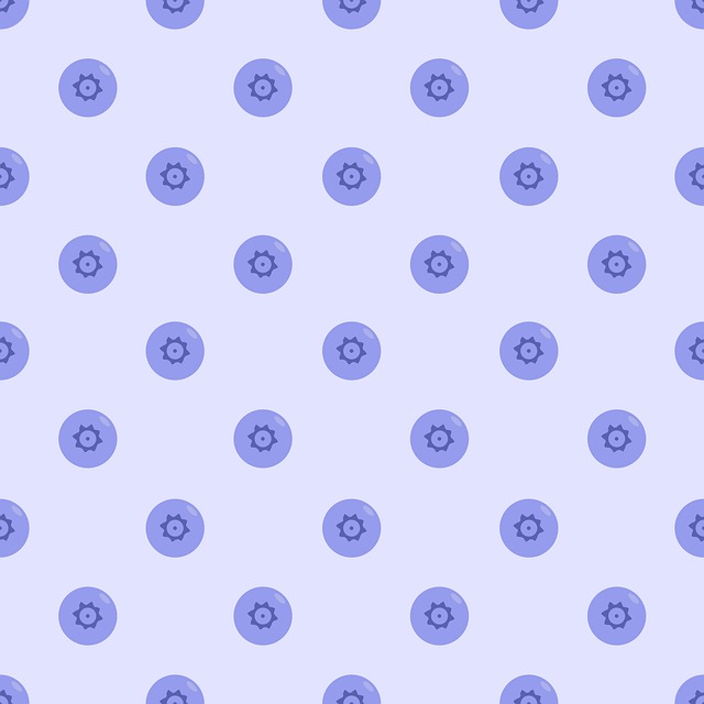 Free Fruit Blueberry photo and picture