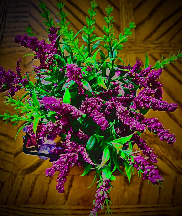 Magenta Blumen K nstliche Kostenloses Foto Auf Pixabay magenta-blumen-k-nstliche-kostenloses-foto-auf-pixabay
