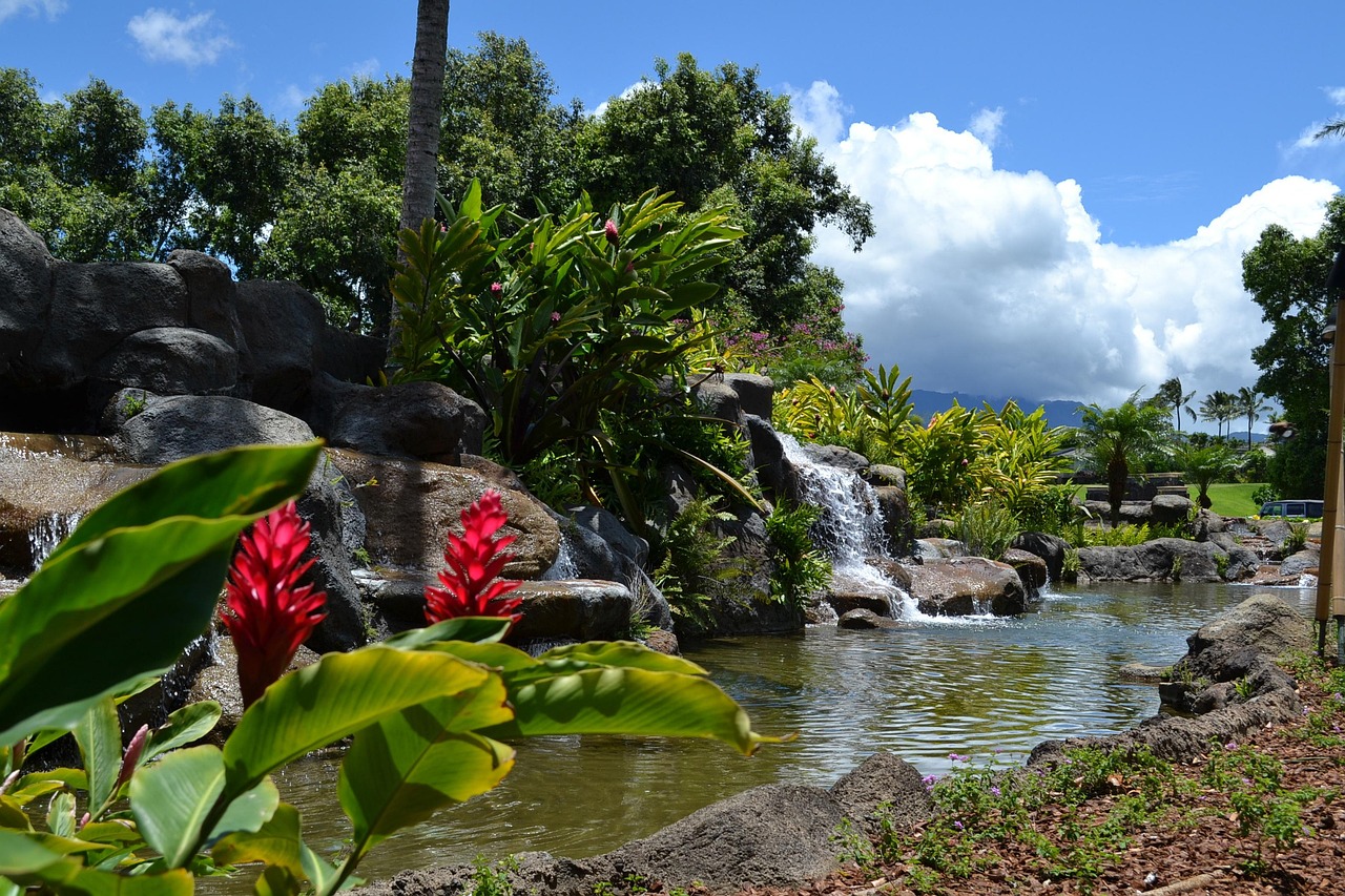 Hawaii Flowers Stream Free photo on Pixabay Pixabay