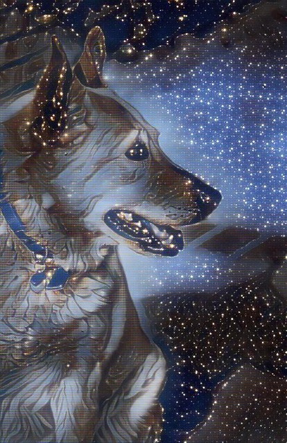 Free Dog Canine illustration and picture