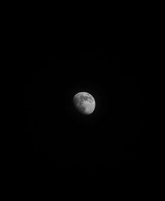 Free Nature Moon photo and picture