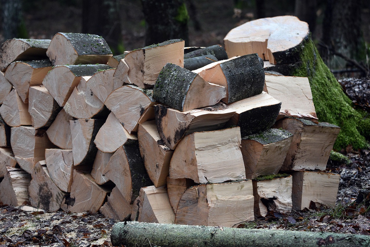 Bois De Chauffage Empiler Le Photo gratuite sur Pixabay Pixabay