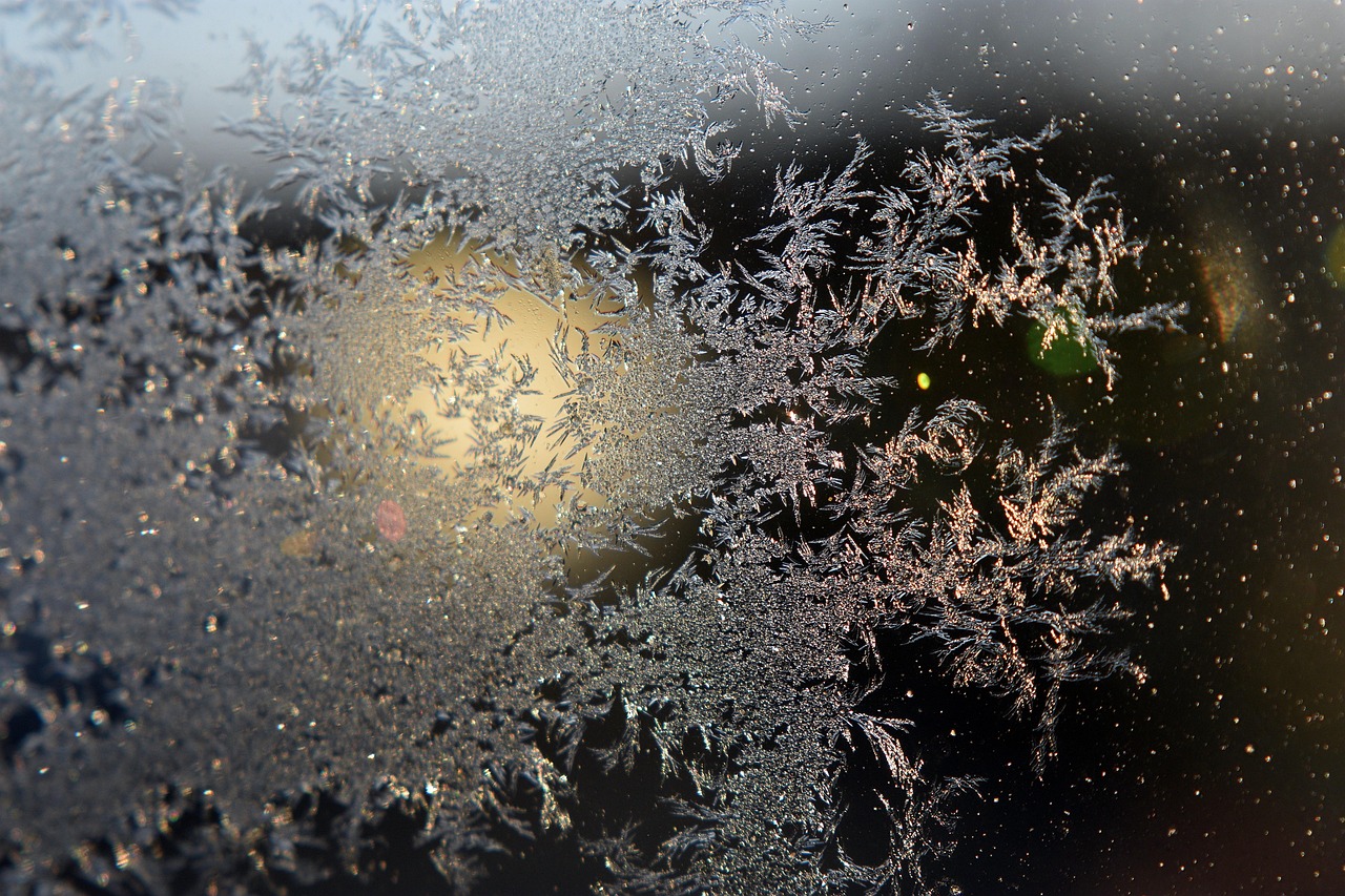 Frost Window Winter Free photo on Pixabay Pixabay
