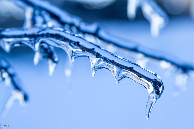 Free Ice Winter photo and picture