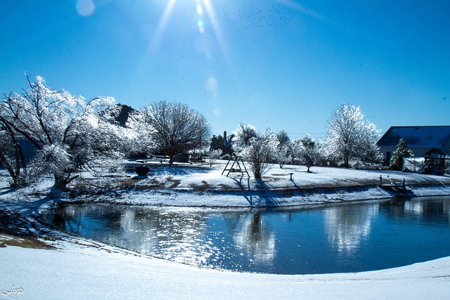 Free Snow Ice photo and picture