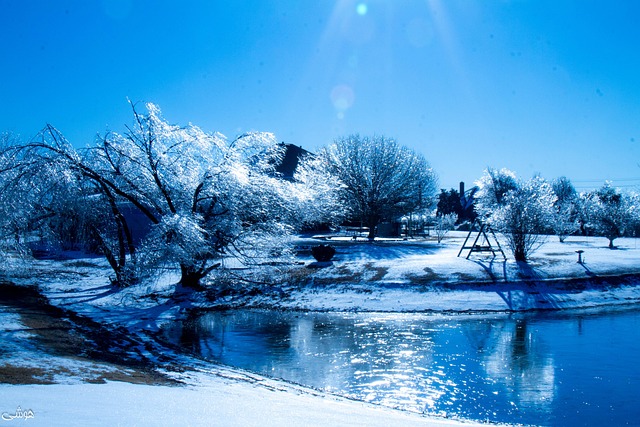 Free Snow Ice photo and picture