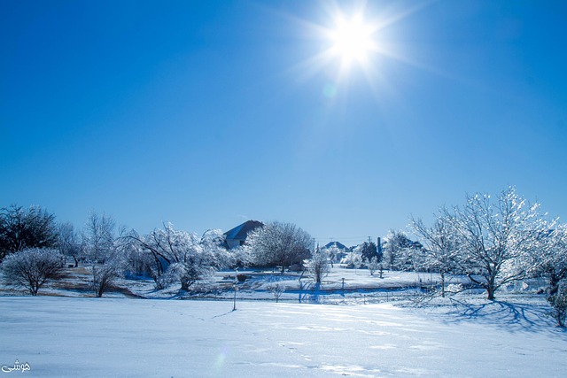 Free Ice Winter photo and picture