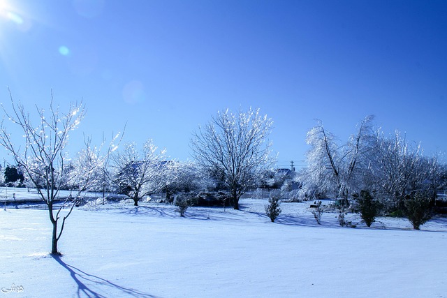 Free Ice Winter photo and picture