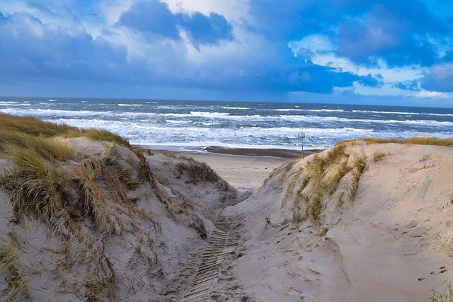 Free Beach North Sea photo and picture