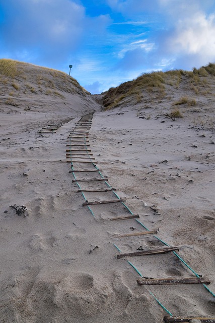 Free Ladder Sand photo and picture