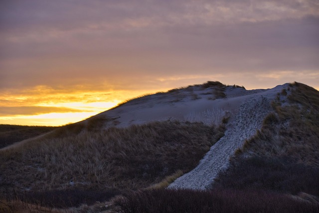 Free Sand Dune Sunset photo and picture